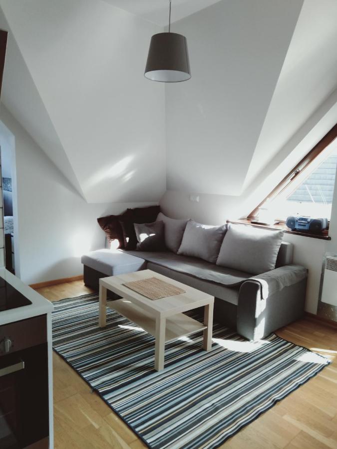 Apartament Kasprowy Jaszczurowka